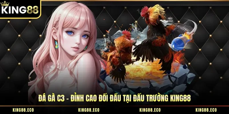 Đá Gà C3 – Đỉnh Cao Đối Đầu Tại Đấu Trường King88